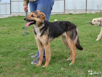 !!! )))   (   ), ,   1 ,   ,    ,     