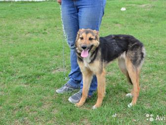 !!! )))   (   ), ,   1 ,   ,    ,     