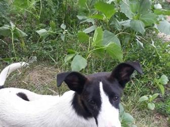  -,   4 ,   ,    ,    ,   ,   