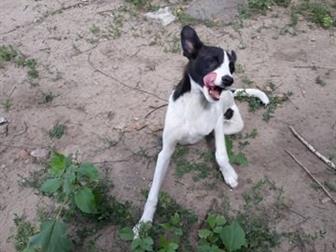  -,   4 ,   ,    ,    ,   ,   