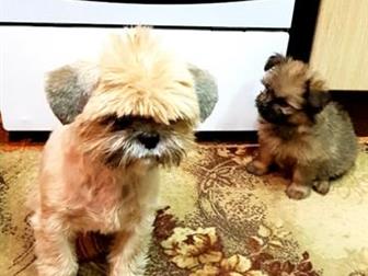  ,  24, 10, 2019,    ,  ,    , ,    ,   