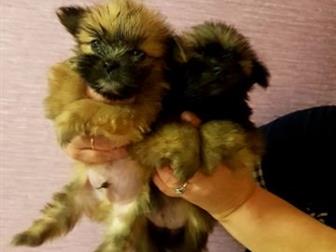  ,  24, 10, 2019,    ,  ,    , ,    ,   