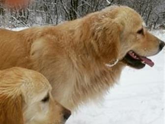      ,          ,  , , , ,    