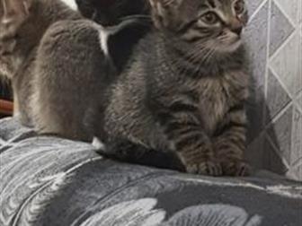  ,   !  , ,   ! 2, ,  