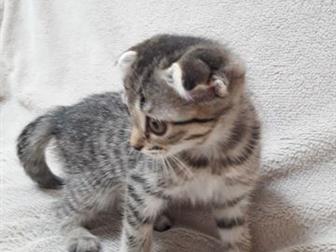      , 2 , ,  ,    ,  