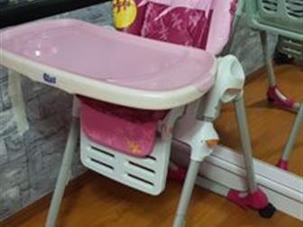     Chicco Polly,  , ,    3 ,    ,   