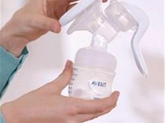    Philips Avent,    , : /  