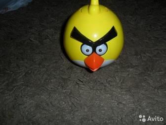 Angry Birds      , :   