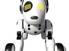   Robot dog