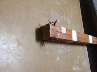 ���� (���������, �������-  ������� ��� �������), � ������