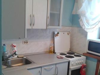 id: 49969971         (, , , ),     , ,   
