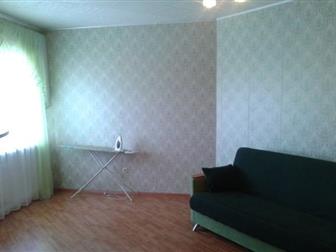id: 49978041   (  ),  ,   ,  ,   ,        
