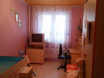 id: 49978987       ,        ,  : ,   ( 24, 04,  