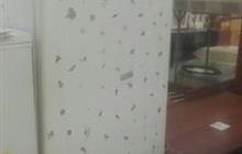 LG-