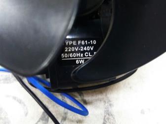       F61-10      ,  : ,  28 (  ),      -   