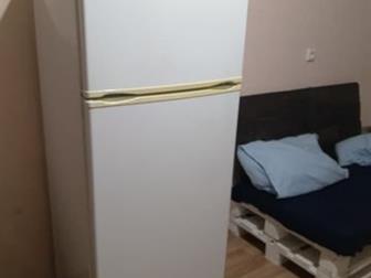 NORD Vita Nova    (145*60*60) ,    ,  