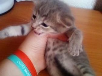    -  !     ,   18  ,  