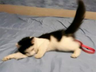 ,  4 ,   ,   ,   ,   ,    ,  
