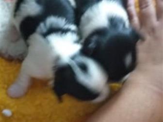  ,  07, 09, 19, ,     ,         ,  
