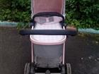  anex zana Putti 2  1, color pink