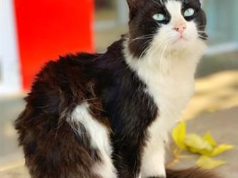  ,   ,      ,       ,  ,   ,  