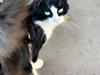  ,   ,      ,       ,  ,   ,  