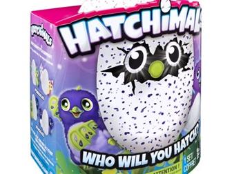  -      Hatchimals -   !     -    -