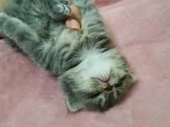        ,   27 ,      ,  3   2 ,      -