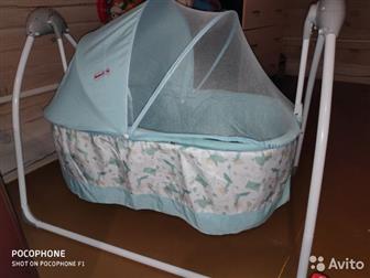 -,  5  ,    ,       ,    ,    4000   Rich Family, :  -