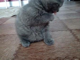  ,   27 ,  ,   ,   ,  -