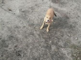    ,    4 ,  ,    ,      /,     