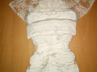        Choupette,    ,     ,      ,      
