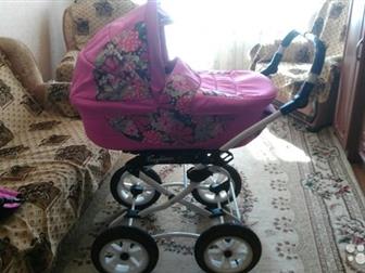  Teddy (BartPlast) ,   ,  4,   - 30, 5 ,    , ,    