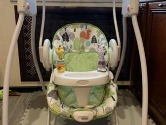    Graco Swing n Bounce  Bear Trail   , :6      ;2     