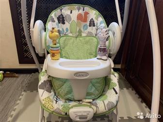    Graco Swing n Bounce  Bear Trail   , :6      ;2     