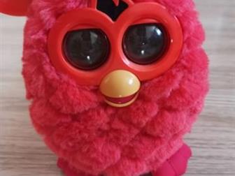    furby, : /  