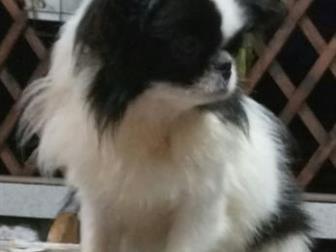     8 , ,,    ,             ,      