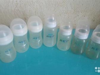  Avent 260 ml,   ,   ,     ,    1 , : /  