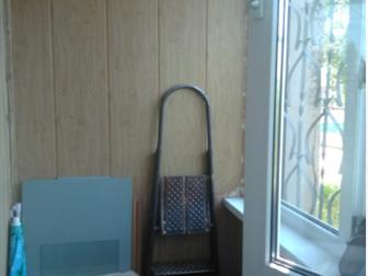      1994  , -     (    )-      -   ,    