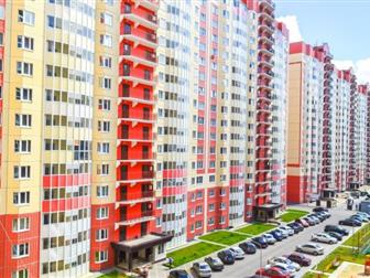  2 ,     ,    5       , 100%  -  ,    : ,  