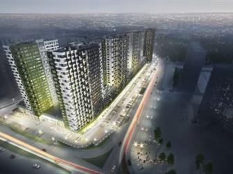       ,    56,16 , ,   - 2  2019  