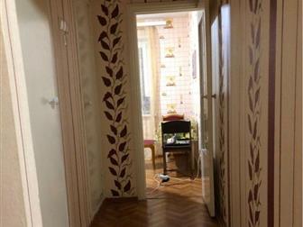  ,  ,      ,    ,     -   ,   ,   - ,  