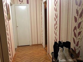  ,  ,      ,    ,     -   ,   ,   - ,  