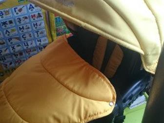   Camarelo,   ,    0  13       ,         