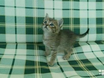   ,   ,  29, 06,        ,  , ,   ,  