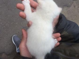       !  4 , -       ,    4  , ,     