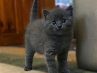 (2 , 1 )  ! -,    ,    ,     ,      