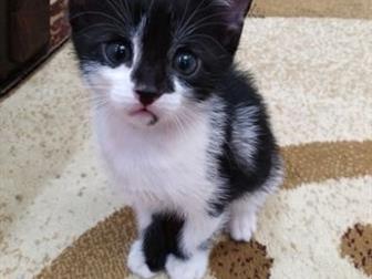 , 1,5 ,   ,   ,  , , , , ,   , ,   ,  