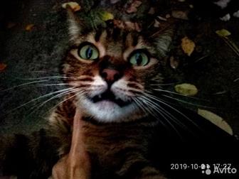     ,    ?    ,     ,  , ,  