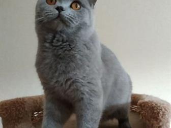   ,   , 1   ,    ,   ,          